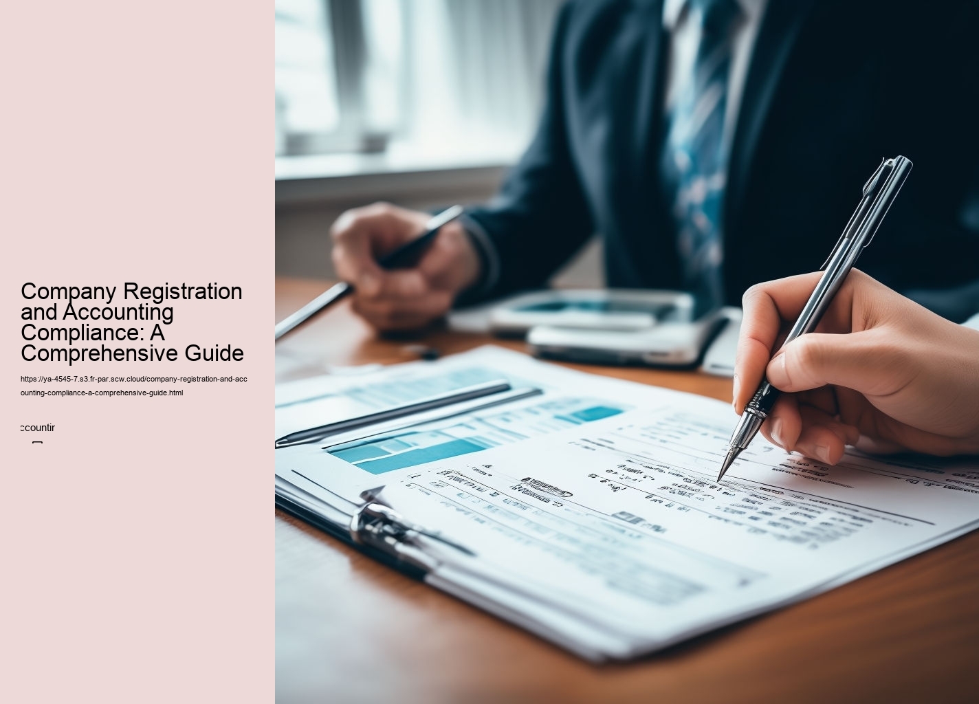 Company Registration and Accounting Compliance: A Comprehensive Guide